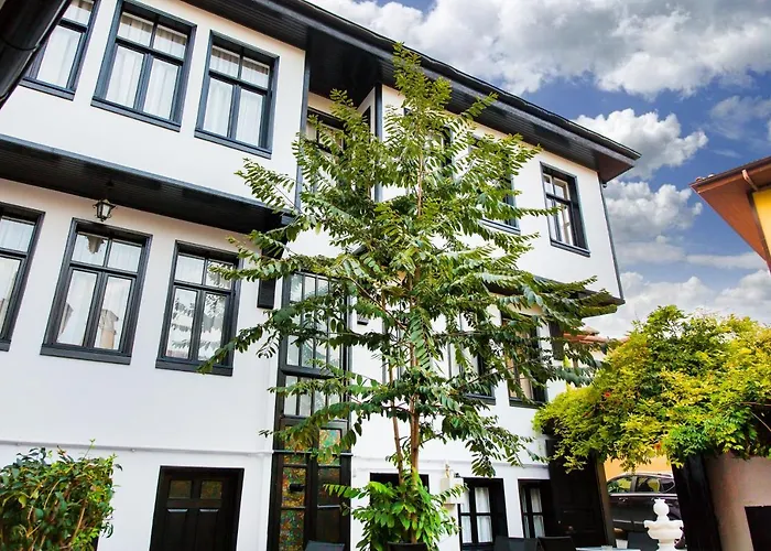 Avlu Tophane * Bursa